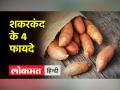 नहीं खाते है शकरकंद तो आज से ही कर दें शुरू, डाइट में करें इसे शामिल - Hindi News | If you do not eat sweet potatoes, then start from today itself, include it in the diet | Latest health Videos at Lokmatnews.in