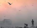 ब्लॉग: ऑटो माफिया ने फैलाया जहरीला आतंक - Hindi News | air pollution Auto mafia spread poisonous terror | Latest india News at Lokmatnews.in