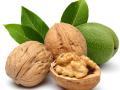 Walnuts benefits: अखरोट खाना सेहत के लिए बेहद फायदेमंद, इन 8 बीमरियों से मिलेगा छुटकारा - Hindi News | Walnuts benefits for health akhrot khane ke fayde | Latest health Photos at Lokmatnews.in