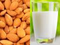 बादाम का दूध पीने के 6 फायदे, डायबिटीज और मोटापा होगा दूर, दिल रहेगा स्वस्थ हार्ट अटैक का खतरा होगा दूर - Hindi News | badam ka doodh peene ke fayde benefits of almond milk | Latest health Photos at Lokmatnews.in