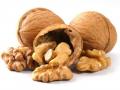 सिर्फ एक अखरोट दूर भगा सकता है तनाव, दिमाग को कर देगा तेज - Hindi News | eat walnuts to ward off stress, know about healthy foods to eat | Latest health News at Lokmatnews.in