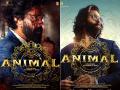 Animal OTT Release: ओटीटी पर देखें फिल्म 'एनिमल', जानें कब और कहां होगी रिलीज ? - Hindi News | Animal OTT Release Ranbir Kapoor Rashmika Mandanna Bobby deol Movie Release on Netflix on 26 january 2024 | Latest bollywood Photos at Lokmatnews.in