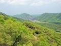 अरावली की पहाड़ियों को लेकर इतनी आशंका क्यों? - Hindi News | Why so much apprehension about Aravalli hills trigger protests, activists fear destruction of ecology | Latest business News at Lokmatnews.in