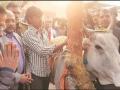 अब गाय पर बीजेपी को घेरेंगे केजरीवाल, बोले- जो गाय के नाम पर वोट मांगते हैं, उन्हें चारा भी देना चाहिए - Hindi News | Arvind kejriwal slams Bjp says those seek Votes cow name should also provide fodder | Latest india News at Lokmatnews.in