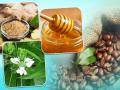 Health Tips: अस्थमा के उपचार के लिए आजमाएं ये 6 आसान उपाय - Hindi News | asthma treatment home remedies natural asthma treatment healthy food | Latest health Photos at Lokmatnews.in
