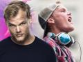 शॉकिंग! DJ Avicii का 28 की उम्र में निधन, देखें उनकी कुछ यादगार तस्वीरें - Hindi News | | Latest hollywood Photos at Lokmatnews.in