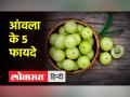 रोजाना आंवला खाने के 5 फायदे, उपयोग और औषधीय गुण - Hindi News | 5 benefits, uses and medicinal properties of eating amla daily | Latest health Videos at Lokmatnews.in