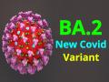 दिल्ली में जुलाई,अगस्त में 90 प्रतिशत कोविड नमूनों के जीनोम अनु्क्रमण में बीए.2 स्वरूप मिले - Hindi News | ba.2 variant of Covid sample genome-sequenced found in delhi 90% samples in delhi | Latest health Photos at Lokmatnews.in