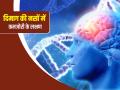 ये 7 लक्षण दिमाग की नसों के लिए हैं खतरनाक संकेत, शरीर में झुनझुनी और स्ट्रोक की वजह है वीकनेस, नहीं गौर किया तो चलने-फिरने में होगी भारी दिक्कत - Hindi News | 7 symptoms dangerous weakness brain nerves causes of tingling body stroke great difficulty in walking health tips in hindi | Latest health News at Lokmatnews.in
