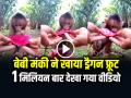 Viral Video: बेबी मंकी ने खाया ड्रैगन फ्रूट, सोशल मीडिया पर वायरल हुआ वीडियो - Hindi News | Baby Monkey Eating Dragon Fruit Video goes viral on social media | Latest weird News at Lokmatnews.in
