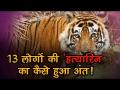 13 लोगों की 'हत्यारिन' बाघिन का कैसे हुआ अंत, देखें वीडियो - Hindi News | | Latest india Videos at Lokmatnews.in
