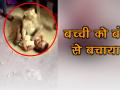 बच्ची को लेकर ऐसे भागा बंदर, गाँववालों ने ऐसे बचाई नवजात जान, देखें वीडियो - Hindi News | | Latest world Videos at Lokmatnews.in