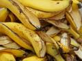 Photos: केले के छिलके के 10 प्रयोग जिन्हें जानकर आप भी रह जाएंगे दंग - Hindi News | Photos: 8 Amazing Benefits And Uses Of Banana Peels | Latest fashion-beauty Photos at Lokmatnews.in