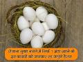 रोजाना सुबह नाश्ते में सिर्फ 1 अंडा खाने के इन फायदों को जानकर रह जाएंगे हैरान - Hindi News | amazing health benefits of eating eggs in daily breakfast you should know | Latest health Photos at Lokmatnews.in