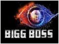 Bigg Boss 12: ये प्रतियोगी होगा इस सीजन का विनर, पहले से तय हो चुका है शो का विजेता! - Hindi News | Bigg Boss 12 final Winner Name Leaked sreesanth may win the bigg boss 12 show | Latest television News at Lokmatnews.in