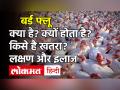 Bird Flu: बर्ड फ्लू क्या है? क्यों होता है? किसे है खतरा? इलाज और लक्षण जानें सबकुछ - Hindi News | Bird Flu: What is bird flu Why does it happen Who is in danger Know everything about treatment and symptoms | Latest india Videos at Lokmatnews.in