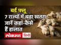 Bird Flu के कहर ने बढ़ाई भारत की टेंशन, कई राज्यों में अलर्ट, जानें कहां-कैसे हैं हालात - Hindi News | Bird Flu s havoc increases India s tension alerts in many states know where and how the situation is | Latest india Videos at Lokmatnews.in