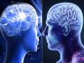 इंसानी दिमाग़ के बारे में इन 10 बातों को जानकर रह जाएंगे दंग - Hindi News | Photos: Know 10 very Interesting facts About Human Brain | Latest wellness Photos at Lokmatnews.in