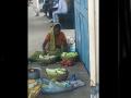 WATCH: सेहत से खिलवाड़; कटिहार स्टेशन पर खीरे पर हरा रंग डालते हुए दिखी महिला, वीडियो देख उड़ जाएंगे होश - Hindi News | WATCH woman seen putting green color on cucumber at Katihar station video will blow your mind | Latest weird News at Lokmatnews.in