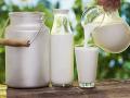 World Milk Day: भारत में इन 5 राज्यों में होता है दूध का सबसे ज्यादा उत्पादन - Hindi News | World Milk Day: Top 5 Highest Milk Producing States in India | Latest india Videos at Lokmatnews.in