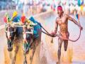 कर्नाटक: बेंगलुरु भैंस रेसिंग खेल 'कंबाला' की मेजबानी के लिए तैयार, पढ़ें पूरी डिटेल - Hindi News | Karnataka Bengaluru ready to host buffalo racing game 'Kambala | Latest spirituality News at Lokmatnews.in