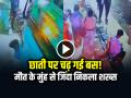 VIDEO: छाती पर चढ़ गई बस!, मौत के मुंह से जिंदा निकला शख्स, देखें वीडियो - Hindi News | Bus Climbs on Man Chest Sitting On Bench Video Goes Viral | Latest weird News at Lokmatnews.in