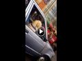 जब बीच सड़क पर कुत्ते ने चलाई कार, वीडियो हुआ वायरल - Hindi News | when a dog runs car in the traffic watch the viral video | Latest weird News at Lokmatnews.in