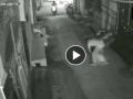 राजधानी दिल्ली में महिलाओं के सुरक्षित नहीं हैं 'गले', CCTV वीडियो में देखिए कैसे दिया वारदात को अंजाम  - Hindi News | | Latest crime News at Lokmatnews.in