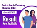 CBSE Class 12 Result 2024: सीबीएसई ने 12वीं के नतीजे किए जारी, ऐसे करें चेक - Hindi News | CBSE Class XII Result 2024 result out | Latest india News at Lokmatnews.in