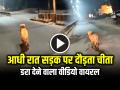 VIDEO: आधी रात सड़क पर दौड़ता चीता, डरा देने वाला वीडियो वायरल - Hindi News | Cheetah running on the road at night video goes viral on social media | Latest weird News at Lokmatnews.in