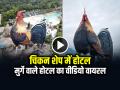 VIDEO: चिकन शेप में होटल, बनाया गिनीज वर्ल्ड रिकॉर्ड, मुर्गे वाले होटल का वीडियो हुआ वायरल - Hindi News | Chicken Shaped Hotel World Largest Building Guinness World Records Video Goes Viral on Social Media | Latest weird News at Lokmatnews.in
