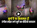 VIDEO: मुर्गा है या क्रिसमस ट्री!, रंगीन लाइट लगे मुर्गे का वीडियो वायरल - Hindi News | Chicken with Colourful Lights Video Goes Viral on social media | Latest weird News at Lokmatnews.in