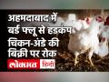 Bird Flu: Gujarat में बढ़ा बर्ड फ्लू संकट, Ahmedabad में चिकन-अंडे की बिक्री पर लगाया प्रतिबंध - Hindi News | Bird Flu in Gujarat Ahmedabad Ban on Chicken and egg | Latest india Videos at Lokmatnews.in