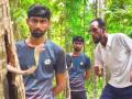 Watch Video: कोबरा को बचाने के लिए शख्स ने लगाई जान की बाजी - Hindi News | cobra caught in coconut tree watch daredevil rescue operation | Latest weird News at Lokmatnews.in