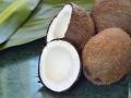 World Coconut Day 2020: मोटापे, कब्ज, कोलेस्ट्रॉल का रामबाण इलाज है नारियल, इम्यूनिटी सिस्टम को भी बनाता है मजबूत - Hindi News | World Coconut Day 2020: Theme, history, Significance of the Occasion and Benefits of coconut in Hindi | Latest health News at Lokmatnews.in
