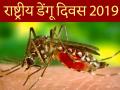 राष्ट्रीय डेंगू दिवस 2019: डेंगू बुखार को जड़ से खत्म कर सकती हैं ये 6 चीजें, तेजी से बढ़ाती हैं प्लेटलेट्स - Hindi News | National Dengue Day 2019: Home remedies to get rid dengue fever and increased platelets in Hindi | Latest health Photos at Lokmatnews.in