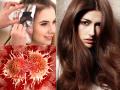 बाल कलर कराने से पहले इन खतरों के बारे में जरूर जान लें - Hindi News | Be sure to know about these hazards before making hair color | Latest health Photos at Lokmatnews.in