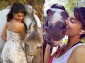 Jacqueline Fernandez first digital cover photoshoot done at Salman Khan's farmhouse is unmissable - Hindi News | Jacqueline Fernandez first digital cover photoshoot done at Salman Khan's farmhouse is unmissable | Latest entertainment Photos at Lokmattimes.com