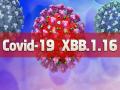 कोरोना का XBB.1.16 वैरिएंट, इन राज्यों में मिले 76 केस - Hindi News | Covid variant XBB1.16 found in India 76 cases found in delhi mharashtra and other state INSACOG data | Latest health Photos at Lokmatnews.in