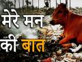 मैं गाय माता आपसे कुछ कह रही हूं, बेटा एक मिनट सुन लो - Hindi News | Cow Mother Shares Her Feelings Searching Food From Garbage And Eating Plastic | Latest india News at Lokmatnews.in