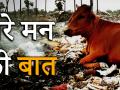 कूड़े के ढेर से भोजन तलाशती गाय माता के मन की बात सुन लीजिए - Hindi News | Cow Mother Shares Feelings Of Her Life Searching Food From Garbage And Eating Polythene | Latest india Videos at Lokmatnews.in