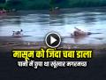 VIDEO: मासूम को जिंदा चबा डाला, पानी में छुपा था मगरमच्छ, देखें वायरल वीडियो - Hindi News | Crocodile Attack Dog and swallowed Video Goes Viral on Social Media | Latest weird News at Lokmatnews.in