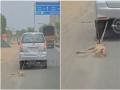 WATCH: क्रूरता की सारी हदें पार! गुजरात के अहमदाबाद में मृत आवारा कुत्ते को SUV से बांधकर हाईवे पर घसीटा गया, वीडियो वायरल - Hindi News | WATCH: All limits of cruelty crossed! Dead stray dog ​​tied to SUV and dragged on highway in Ahmedabad, Gujarat, video goes viral | Latest weird News at Lokmatnews.in