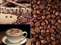 कॉफी का सफर:बाग से कॉफी कैफे तक की कहानी   - Hindi News | History of coffee | Latest food News at Lokmatnews.in