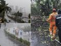 In Pics: Cyclone Nisarga lashes across Maharashtra and Gujarat - Hindi News | In Pics: Cyclone Nisarga lashes across Maharashtra and Gujarat | Latest national Photos at Lokmattimes.com
