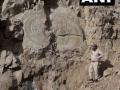 हिमाचल में मिला डायनासोर युग के पेड़ का जीवाश्म, खुलेंगे कई राज - Hindi News | Tree fossil of Mesozoic geological era found in Kharapathar, Shimla | Latest india News at Lokmatnews.in