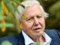 प्रकृति की त्रिमूर्ति: डेविड एटनबरो, सिल्विया अर्ल, जेन गुडऑल - Hindi News | Nature's Trinity David Attenborough, Sylvia Earle, Jane Goodall Celebrated naturalist David Attenborough turns 100 blog Sunil Soni | Latest world News at Lokmatnews.in