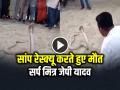 सांप रेस्क्यू करते हुए मौत, सर्प मित्र जेपी यादव की सांप डसने से गई जान, देखें वीडियो - Hindi News | Death while rescuing a snake, snake friend JP Yadav died due to snake bite, watch video | Latest weird News at Lokmatnews.in