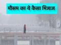 Delhi-NCR Weather: मार्च में क्यों सितम ढा रही सर्द हवाएं? कब तक रहेगा ऐसा हाल? जानें क्या कह रहा IMD - Hindi News | Delhi-NCR Weather Why are cold winds causing havoc in March How long will this situation continue Know what IMD is saying | Latest india News at Lokmatnews.in