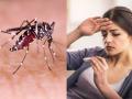 डेंगू का इलाज : डेंगू बुखार से जल्दी ठीक होने के लिए करें ये 6 आसान योगासन - Hindi News | Dengue treatment at home: 6 best yoga pose to help treat dengue | Latest health News at Lokmatnews.in